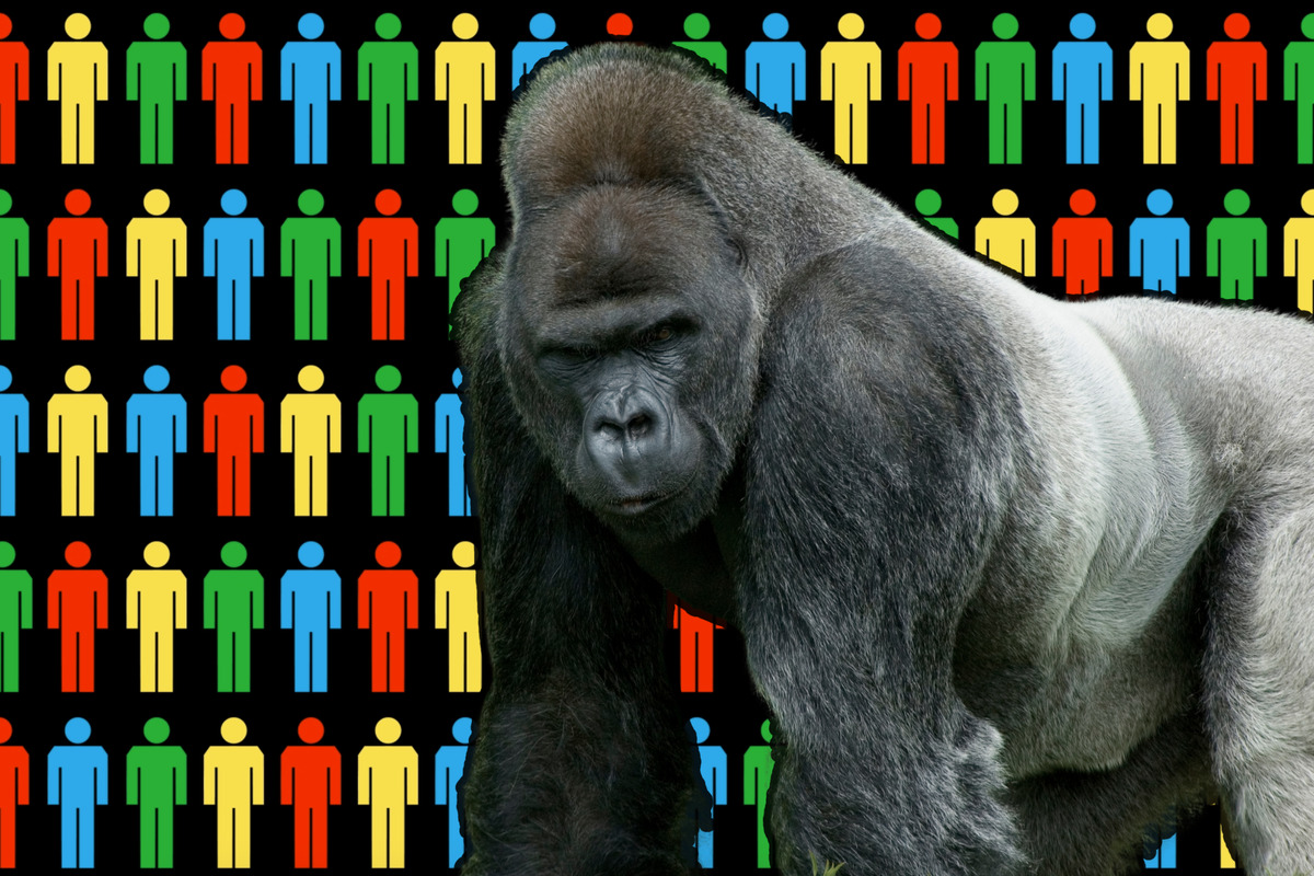 Intro Image